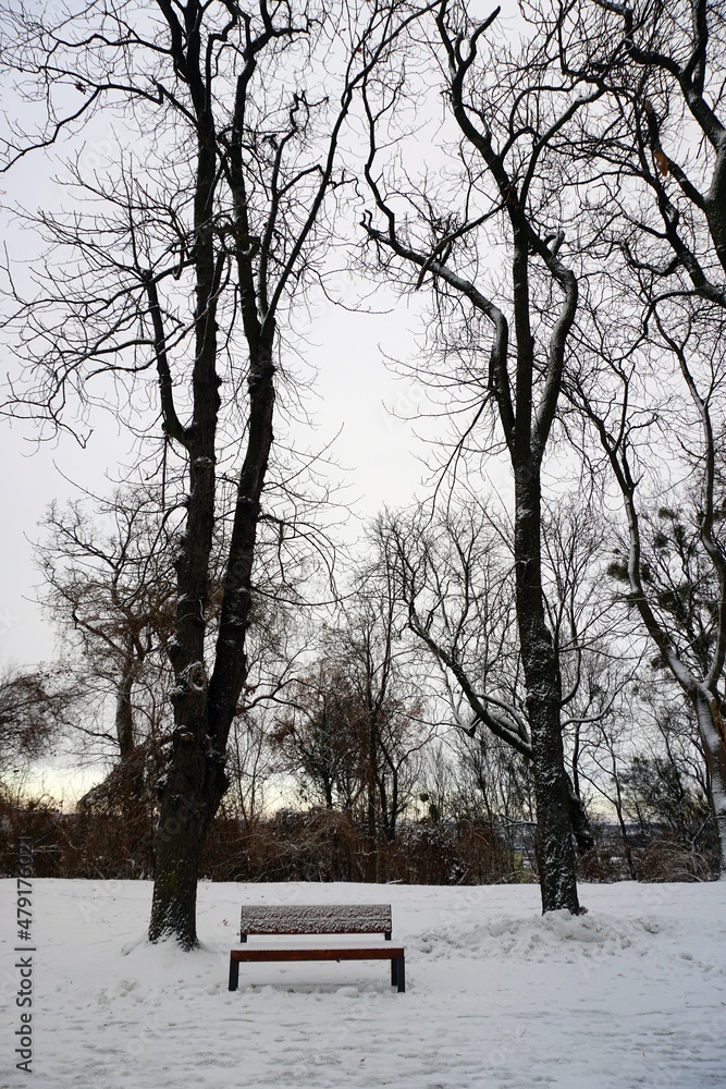 Winter in the city park. An empty bench, covered with trees. Snow. Silhouettes. Winter in the city park. An empty bench, covered with trees. Snow. Silhouettes.