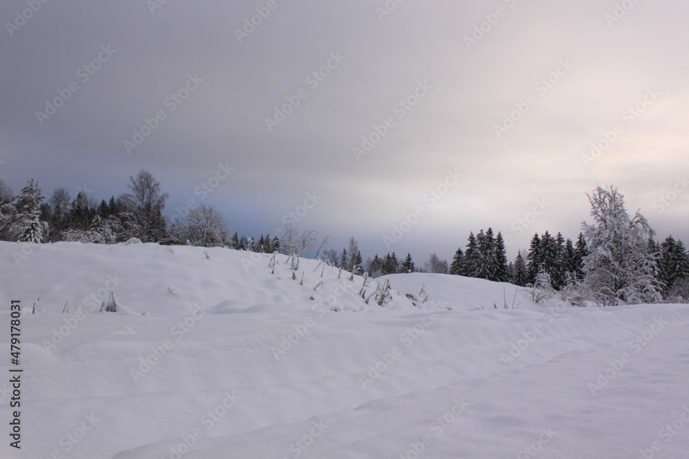 landscape with snow-covered trees - Oslo landscape with snow-covered trees - Oslo