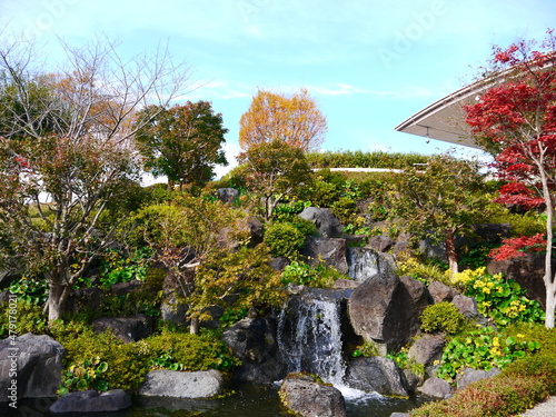 池のある庭