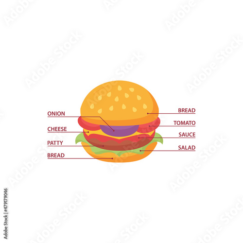 Burger ingredients composition infographic. Vector icon template