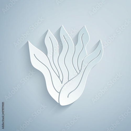 Paper cut Seaweed icon isolated on grey background. Underwater seaweed spirulina, aquatic marine algae plant. Vegan and vegetarian food. Paper art style. Vector.