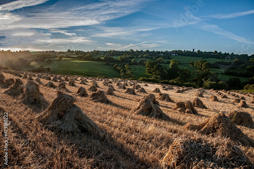 haystacks in the field summers evening