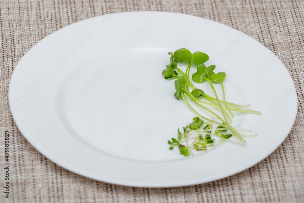 White plate with microgreen sprouts on the dining table. Green sprouts of radish and mustard, close-up with selective focus, copy space. Healthy food concept White plate with microgreen sprouts on the dining table. Green sprouts of radish and mustard, close-up with selective focus, copy space. Healthy food concept