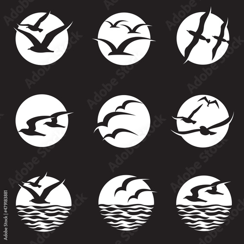 white icon collection of seagulls and moon isolated on black background