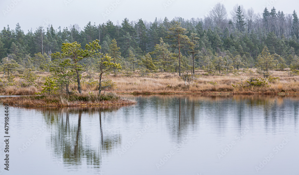 Foggy Morning in Nigula National Park