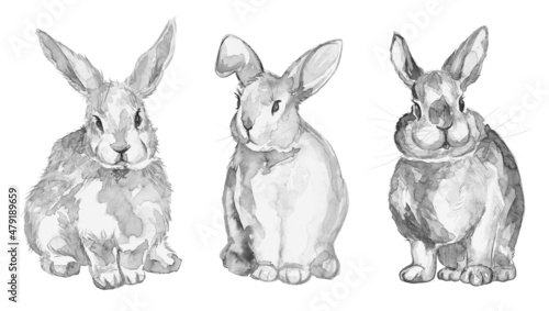 set of rabbits watercolor, Easter illustration black and white monochrome, white background © kuvbersh
