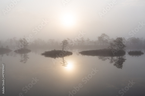 Foggy Morning in Kemeri National Park