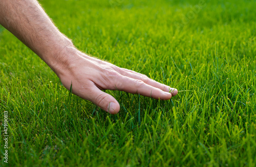 Human palm touching lawn grass low angle view © Mikhailov Studio