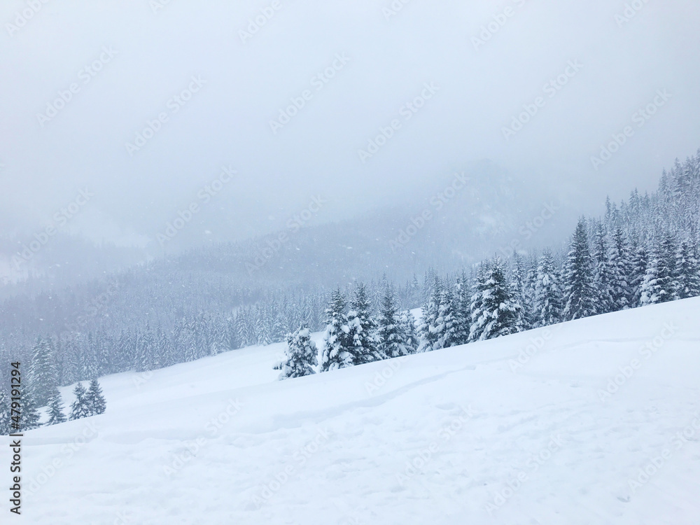Winter landscape in the mountains. Heavy snowfall. View of snow covered mountainsides, evergreen forest, spruce trees. Zakopane, Poland, Europe Winter landscape in the mountains. Heavy snowfall. View of snow covered mountainsides, evergreen forest, spruce trees. Zakopane, Poland, Europe