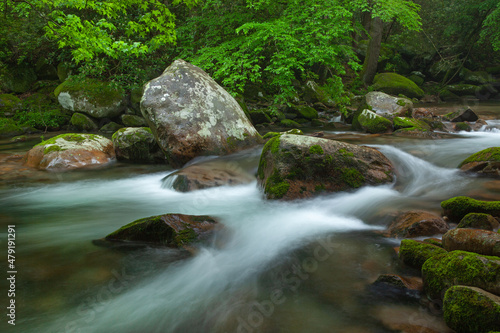 Spring landscape of Big Creek captured with motion blur, Great Smoky Mountains National Park, Tennessee, USA
