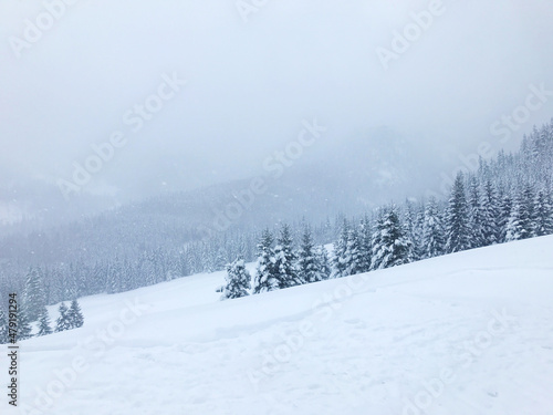 Winter landscape in the mountains. Heavy snowfall. View of snow covered mountainsides, evergreen forest, spruce trees. Zakopane, Poland, Europe