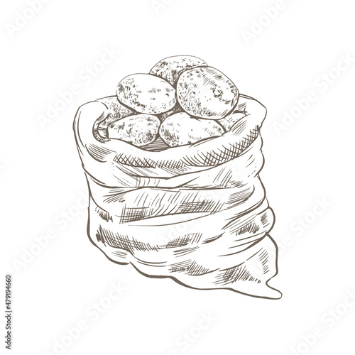 A bag of potatoes sketch. Fabric bag with potatoes on a white background