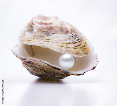 Perle in einer Auster isoliert auf weissem Hintergrund