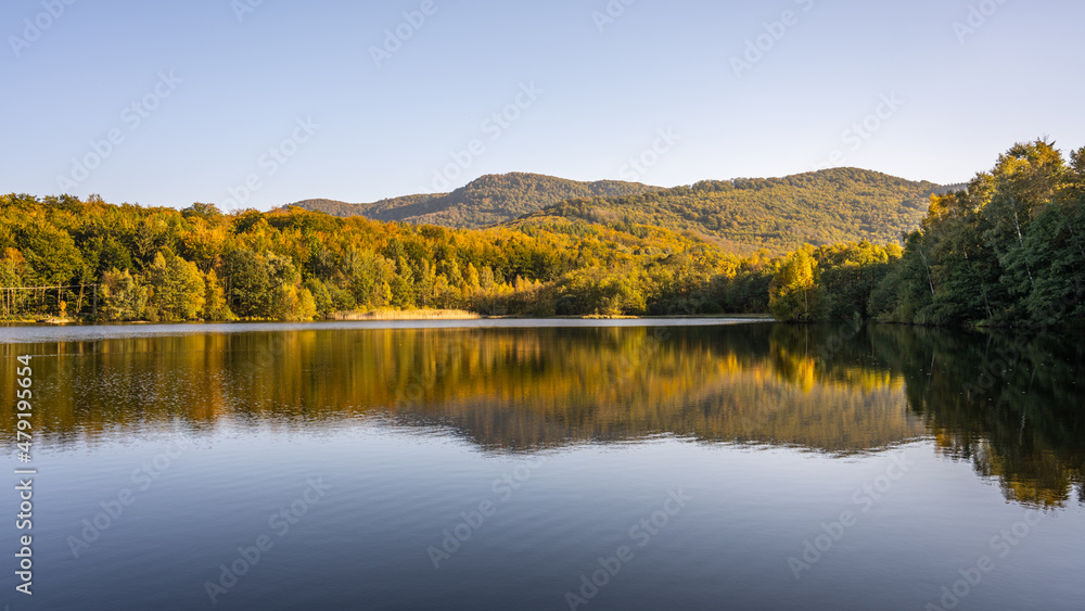 Autumn beech forest reflecter in the water Autumn beech forest reflecter in the water