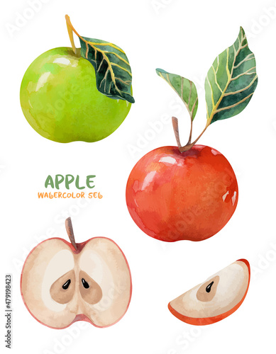 Watercolor set with apples. Ripe red apple and green apple. Ingredients for apple pie with apple slices
