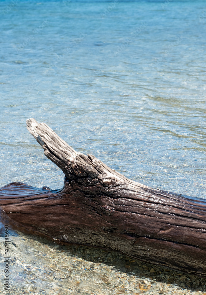 Old wooden on the beach