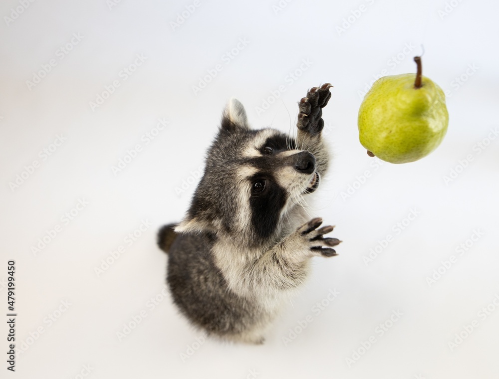 Obraz premium Give me a pear