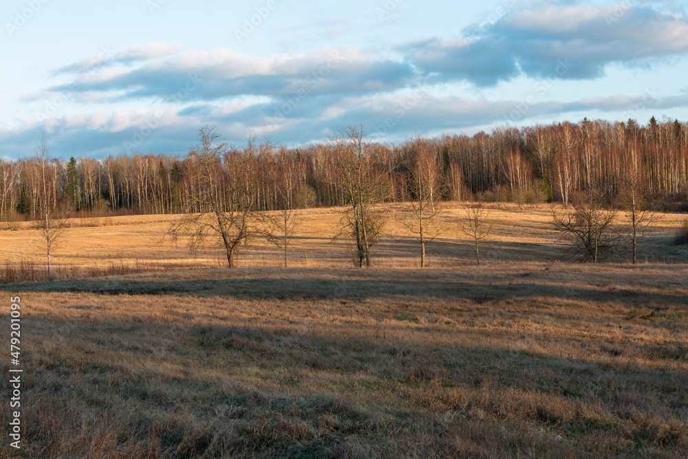 Fototapeta premium agricultural land in early spring