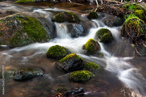 A small forest river with stones