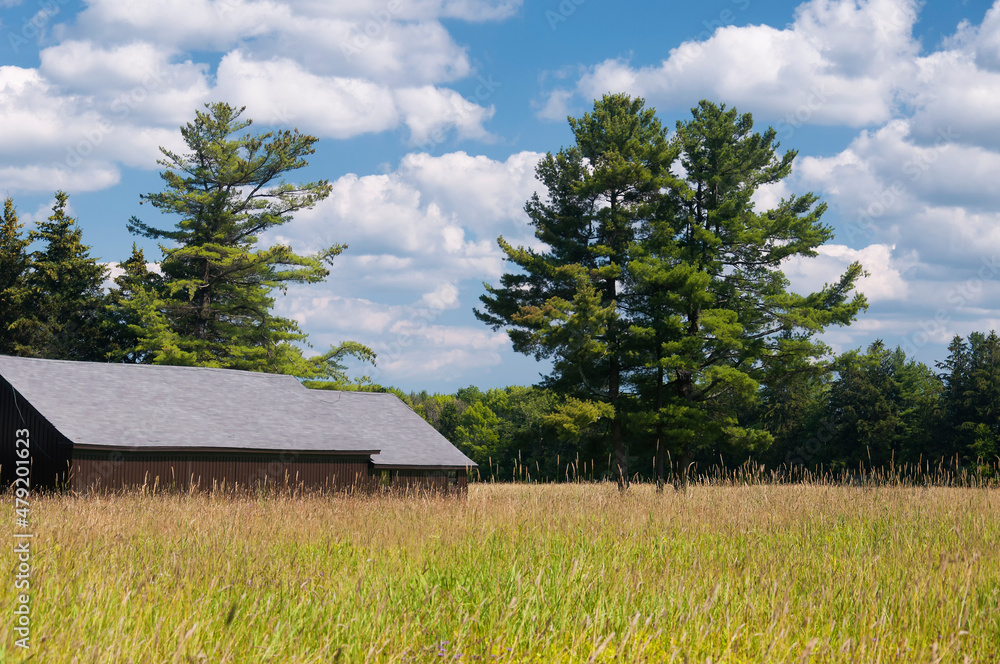Obraz premium topsmead state forest meadow connecticut landscape