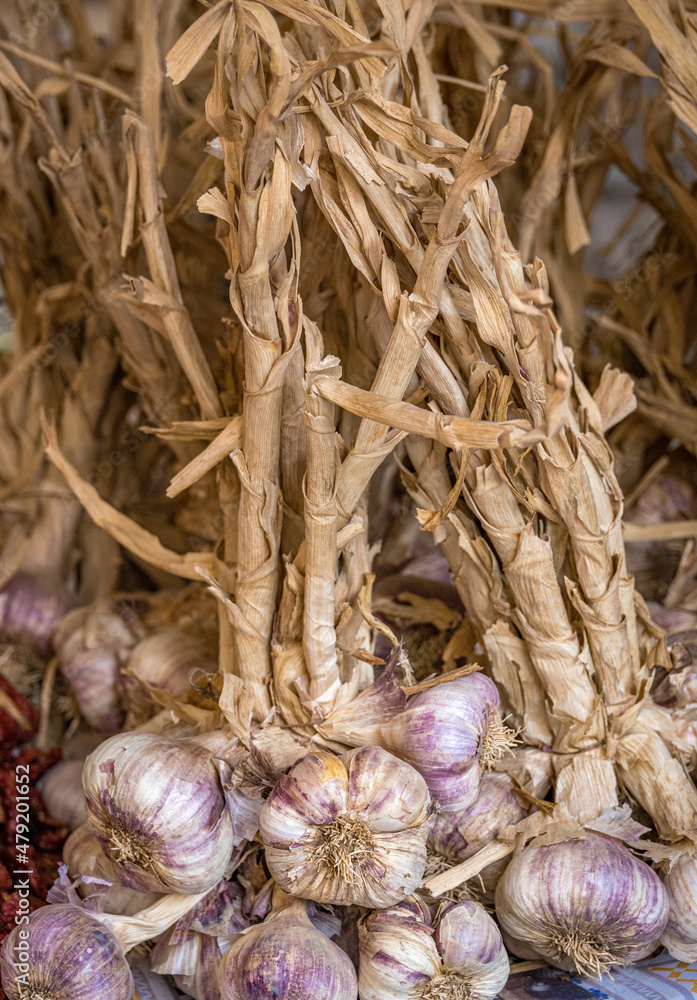 Bunch of garlic bulbs on market stall Bunch of garlic bulbs on market stall