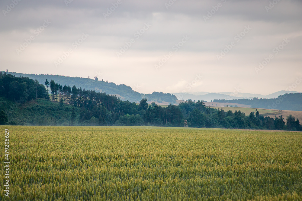 Góry Stołowe