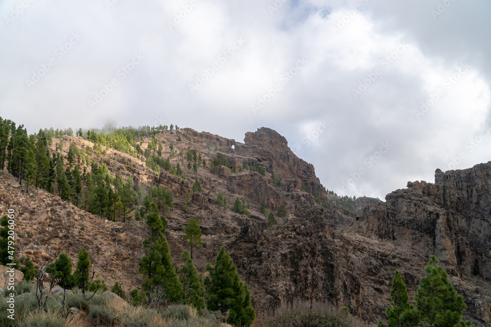 Rocky landscape in the central mountains of Gran Canaria