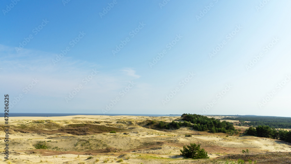 Sand dune Efa on the Curonian Spit, on a sunny day in summer, Baltic Sea, Kaliningrad region, Russia