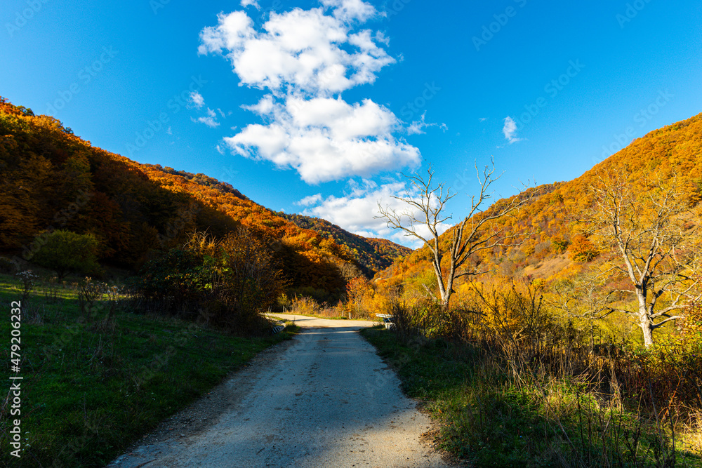 Amazing landscape in fall season Amazing landscape in fall season