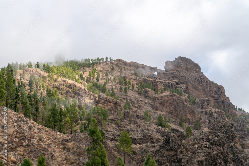 Rocks and pine trees of a typical landscape of Gran Canaria