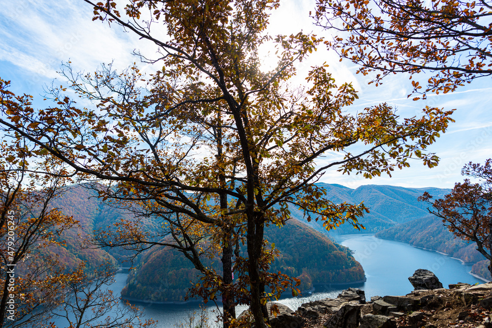 Amazing landscape in fall season Amazing landscape in fall season