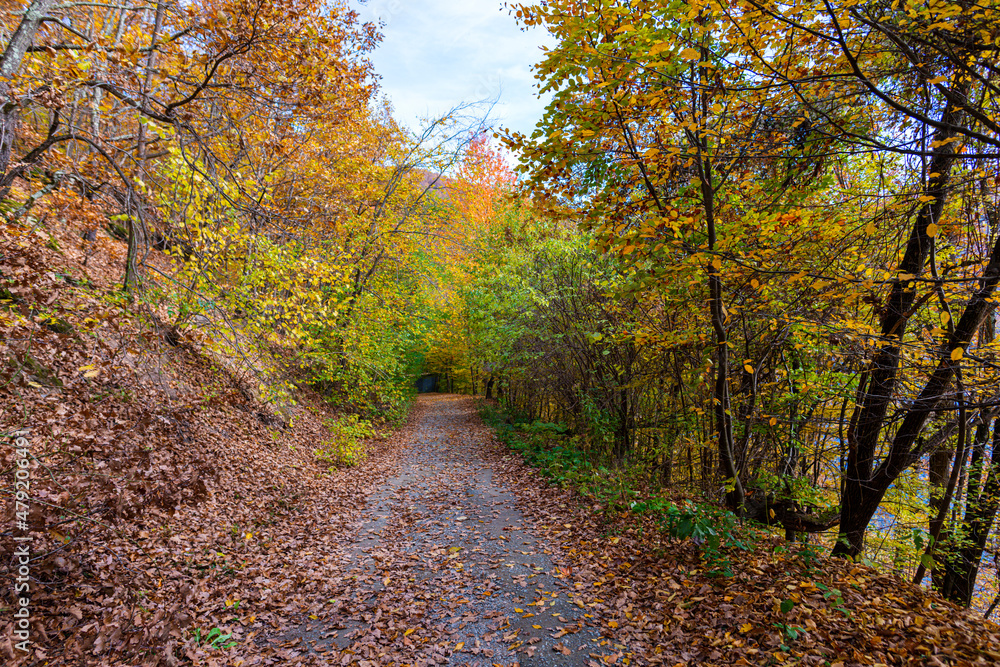 Obraz premium Amazing landscape in fall season