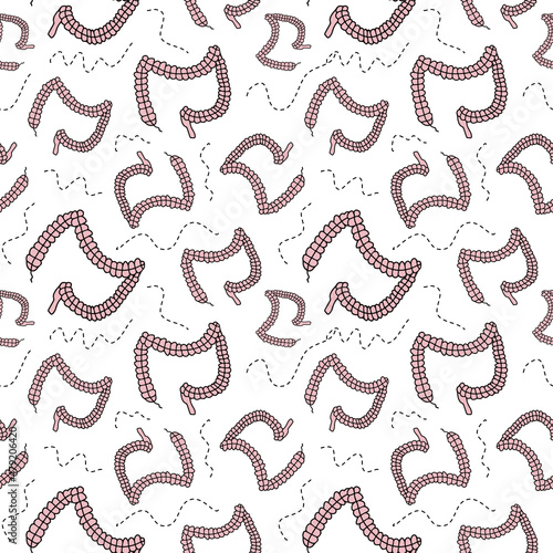 Bowel texture repeating pattern for gastroenterologist background. Fun gut shaped doodles, internal organs wallpaper
