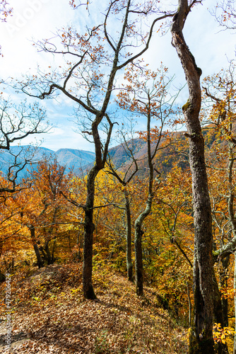 Fototapeta Naklejka Na Ścianę i Meble -  Amazing landscape in fall season