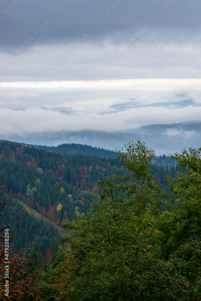 Autumn landscape with cloudy cold weather in carpathian mountains