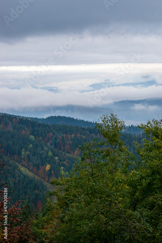 Autumn landscape with cloudy cold weather in carpathian mountains