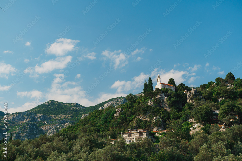 Bell tower of the church looks out from the green trees high in the mountains. Montenegro