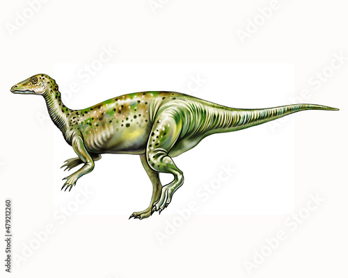 Thescelosaurus, cretaceous dinosaur mesozoic era © Liliya