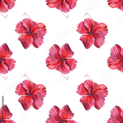 Red hibiscus watercolor seamless pattern. Hand drawn tropical print. For printing on fabric and wrapping paper