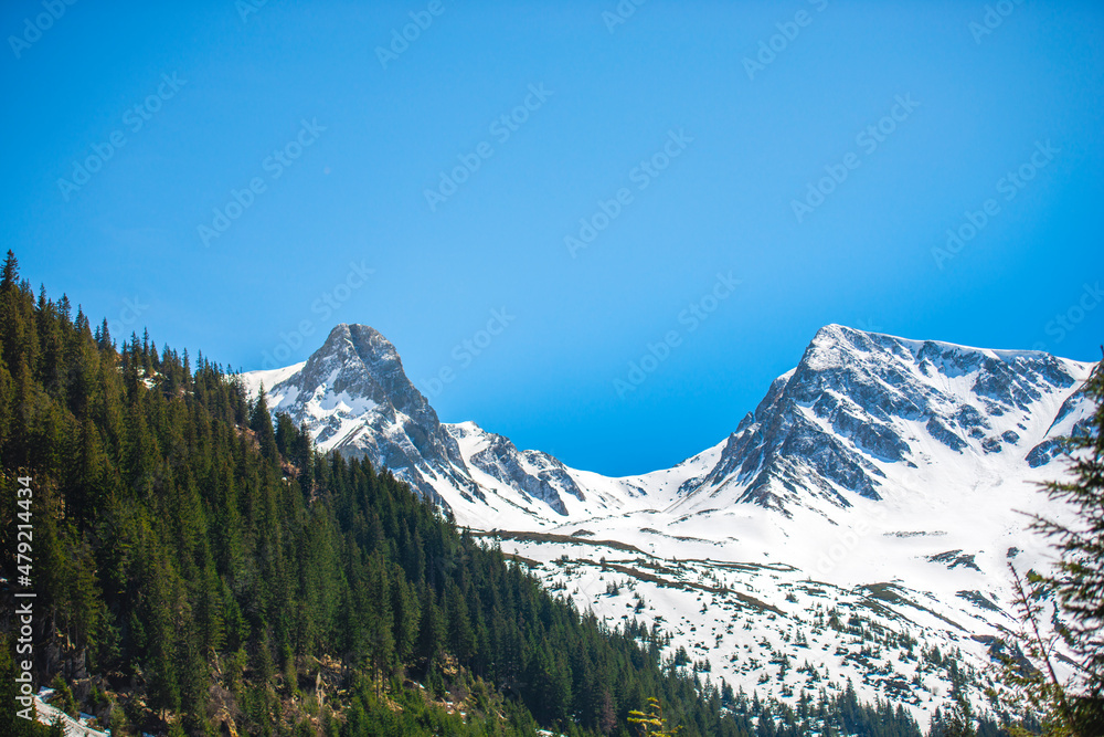 Landscape in the mountains, Valea Sambetei, Fagaras Mountains.