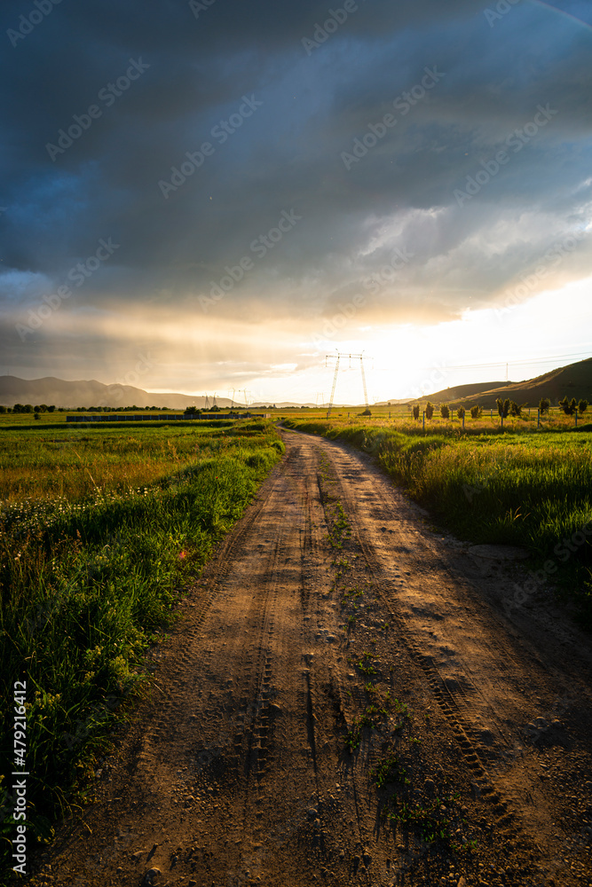 Amazing landscape at the sunset in the poppies field