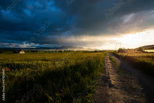 Amazing landscape at the sunset in the poppies field