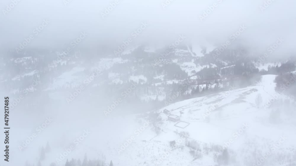 The pine forest in mountains in the morning is very foggy. Copy space for text. Winter season The pine forest in mountains in the morning is very foggy. Copy space for text. Winter season
