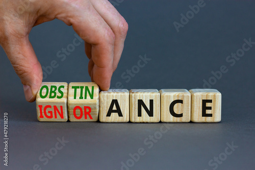 Obstinance or ignorance symbol. Businessman turns cubes, changes the word ignorance to obstinance. Beautiful grey table, grey background. Business, obstinance or ignorance concept. Copy space. photo