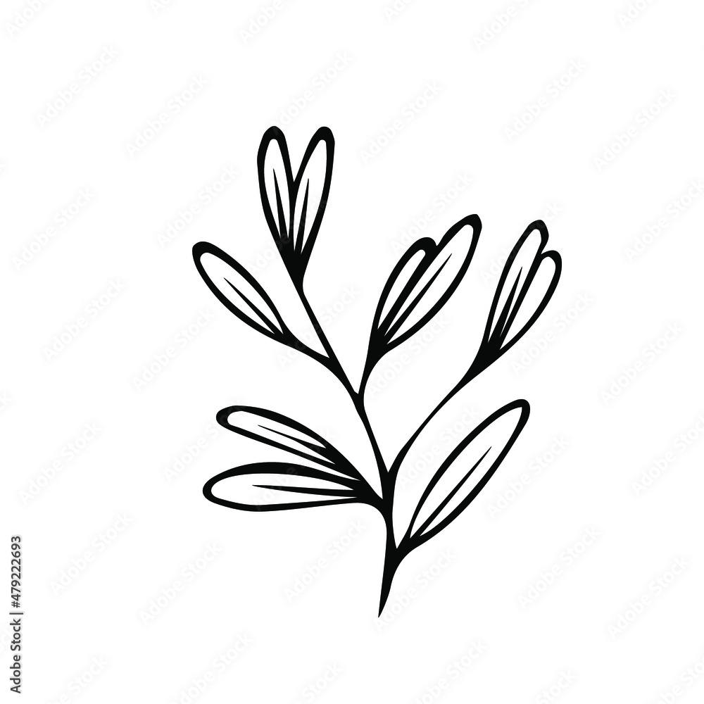 One hand drawn floral element. black vector plant element for design. Doodle isolated on white