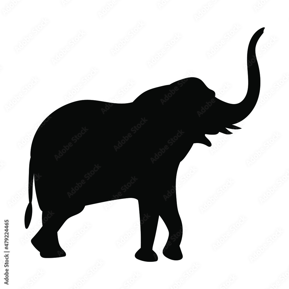 Silhouette elephants on white background. Vector eps 10