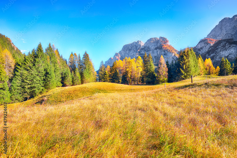 Obraz premium Scenic image of meadow in National Park Tre Cime di Lavaredo.