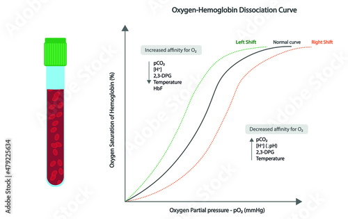 Oxygen-Hemoglobin dissociative curve or oxygen dissociation curve (ODC). Chart that shows how oxygen saturation is related to PO2 photo