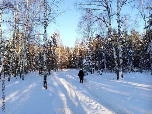 A walk in the winter snow-covered forest. The figure of a woman in a black coat and a white hat.