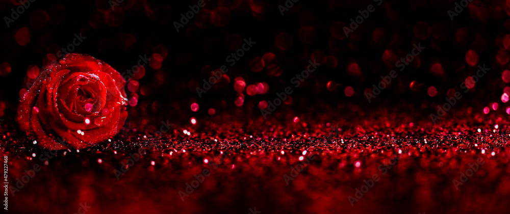 Valentines day background with red rose and bokeh texture. Happy ...